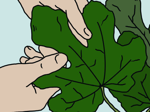 So they sewed fig leaves together and covered themselves. – Slide 14