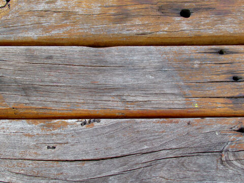 Rough timber. – Slide 18