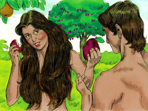 The woman saw that the fruit of the tree looked good for eating. She also desired to know about good and evil and gain wisdom so she took some of the forbidden fruit and ate it. She gave some to Adam, who was with her, and he ate it too. – Slide 5