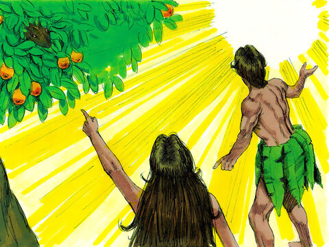 Adam answered, ‘I heard you in the garden, and I was so afraid because I was naked, that I hid.’ God replied, ‘Who told you that you were naked? Have you eaten from the tree that I commanded you not to eat from?’ Adam answered, ‘The woman you put here with me gave me some fruit from the tree, and I ate it.’ – Slide 8