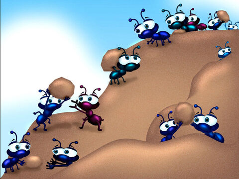 Proverbs 6:6-7 <br/>Take a lesson from the ants and be wise. Even though they have no leader, still they work all summer to gather food for the winter. – Slide 2