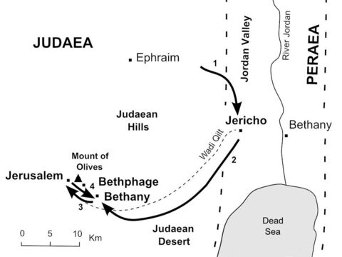 Jesus enters Jerusalem<br/>1. Jesus and His disciples approach Jericho where Jesus heals a blind man. (Mark 10:46-52)<br/>2. Jesus climbs the road from Jericho towards Jerusalem and sends two disciples ahead to borrow a donkey. (Mark 11:1-7) <br/>3. Jesus rides down the hillside from Bethany and enters Jerusalem on a donkey. (Mark 11:8-10)<br/>4. After a brief visit to the Temple courtyard, Jesus returns to Bethany to stay overnight. (Mark 11:11) – Slide 8