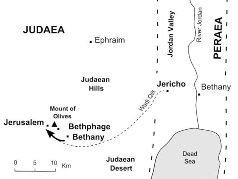 Jesus rides down the hillside from Bethany and enters Jerusalem on a donkey. (Mark 11:8-10) – Slide 34