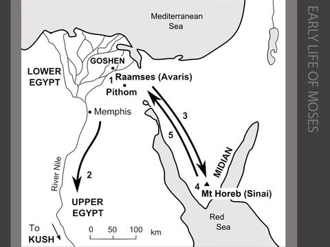 The early life of Moses.  <br/>1. The Israelites are now living in slavery under a pharaoh ‘who did not know who Joseph was’¬¬¬. They are forced to build store cities for the Egyptians at Pithom and Raamses. The Egyptians are fearful of the increasing number of Israelites, so the baby boys are drowned in the River Nile. A baby boy is floated in the shallows by his sister Miriam in an attempt to save his life. The baby is discovered by the pharaoh’s wife, who adopts him and brings him up in the Egyptian court. The Bible calls him 'Moses' meaning ‘drawn out of the water’.  (Exodus 1:1-2:10) <br/>2. Prince Moses is raised in the pharaoh's household and is trained to lead the pharaoh’s armies. According to the Jewish historian Josephus, Prince Moses sees active service defeating the Kushites who invaded from the south. <br/>3. As a young man, the prince sees a Hebrew slave being beaten by an Egyptian overseer. In anger, Moses kills the Egyptian official. Fearing retribution from the pharaoh, Moses flees to Midian.  Moses marries Zipporah and settles down to raise a family in exile. (Exodus 2:11-25) <br/>4. One day when he is seventy six years old, Moses is leading his flock of sheep and goats across the semi-arid desert to Mt Horeb. God speaks to Moses from a burning bush and calls him to rescue his people from Egypt and lead them back to Canaan. (Exodus 3:1-22) <br/>5. Moses asks for ‘signs’ of God’s authority and God appoints Aaron to be his right-hand man. Together they return to Egypt (Exodus 4:1-31). – Slide 1