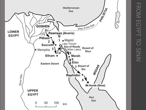 The Israelites journey from Egypt to Sinai.  <br/>1. After ten plagues that occur over three years, the Pharaoh summons Moses and Aaron and commands them to take the Israelites – and their disastrous curses – away from Egypt. The Israelites set out from Raamses on the 14th day of the Jewish month of Nisan. They march towards Succoth and meet up with other fellow Hebrews escaping from Pithom.  (Exodus 12:1-51) <br/>2. God leads the Israelites along the desert road towards the Sea of Reeds (Hebrew, ‘Yam-suf’). (Exodus 13:17-18) <br/>3. The Israelites move further south and camp at Etham on the edge of the Eastern Desert. The LORD goes ahead of them as a pillar of cloud by day and a pillar of fire by night. (Exodus 13:20-22) <br/>4. The Israelites travel through the tidal salt marshes to the north of the Gulf of Suez and cross the shallow Sea of Reeds while Moses holds out his hand and the LORD drives the water back “with a strong east wind”. The Egyptians pursue the Israelites but their chariot wheels become stuck in the mud. The water returns as the wind subsides, covering the chariots and drowning the heavily armed Egyptian soldiers. (Exodus 14:1-31) <br/>5. The Israelites travel through the Desert of Shur for three days. At Marah the water is too bitter to drink until Moses throws in a piece of wood to sweeten it. (Exodus 15:22-26) <br/>6. They reach Elim, a desert oasis with twelve springs and 70 palm trees.  (Exodus 15:27) <br/>7. Crossing the arid Desert of Sin, the Israelites complain of hunger. So God promises to feed them. That evening, a large flock of quails flies into the camp. Each morning after that, the Israelites are fed with ‘manna’ - a small white seed looking like frost on the ground. When they move on to Rephidim, there is no water. Moses strikes the rock and water flows from it. (Exodus 16:1-17:7)   <br/>8. Three months after leaving Egypt, the Israelites reach the Sinai Desert. They spend two days preparing to meet God. On the third day, Moses receives the Ten Commandments on Mt Horeb. (Exodus 19:1-20:26) – Slide 2