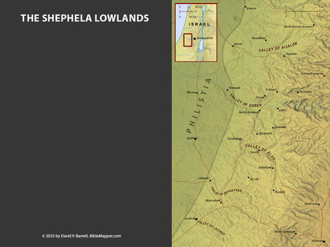The Shephelah. <br/>The Shephelah, meaning ‘lowlands,’ was a band of gentle hills lying between the coastal plain and the hill country of Israel, and it was covered with sycamore fig trees and olive trees (1 Kings 10:27; 1 Chronicles 1:15; 9:27; 27:28). The Shephelah served as a buffer between the Philistines and the Israelites from the time of the Judges through to the time of the Divided Monarchy. David slew Goliath in the Valley of Elah and sent the Philistines into a panic (1 Samuel 17), and he also saved the people of Keilah from the Philistines in this valley while on the run from Saul. (1 Samuel 23:1-5). – Slide 5