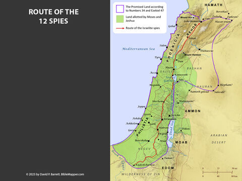 Route of the 12 Spies. <br/>When Moses sent spies to scout out the Promised Land (Numbers 13), their route extended all the way to Lebo-hamath, affirming that this was the full extent of the Promised Land as Moses envisioned it. – Slide 5