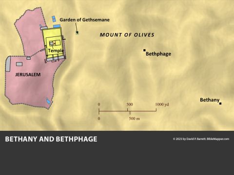 Bethany and Bethphage. <br/>At the start of Passover one week before He was crucified, Jesus and his disciples travelled to Jerusalem, approaching the city from the east. When they arrived at the village of Bethphage, Jesus mounted a donkey and rode down the Mount of Olives as a humble king entering his capital city. Jesus then travelled nearly two miles outside the city to the village of Bethany to spend the night, which appears to have been where He typically lodged each night while visiting Jerusalem during the crowded Passover festival. Bethany is also where Jesus’ close friends Mary, Martha, and Lazarus lived. – Slide 14