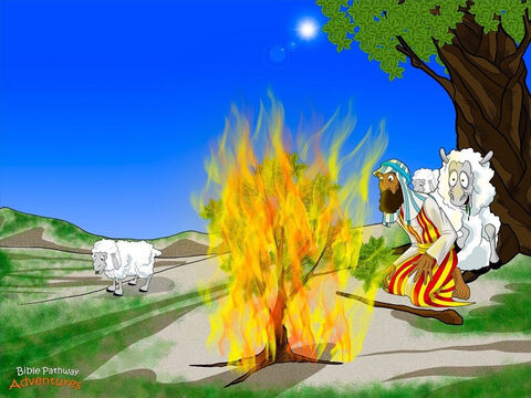One day, near a mountain called Sinai, Moses noticed a bush that was on fire yet was not burning up. “That’s pretty strange,” said Moses. “I better take a closer look.” To his surprise, Yah spoke to him from out of the bush. <br/>“Moses, do not come any closer. You are standing on holy ground. I am the Elohim of Abraham, Isaac, and Jacob.” Moses’ knees began to tremble. He tore off his sandals and covered his face with his hands. <br/>Yah continued. “I’ve seen how badly My people are being treated in Egypt. Go to Pharaoh and tell him to let My people go.” <br/>Moses wasn’t sure if he liked that idea very much. “Why are You sending me?” he asked. He peeped through his fingers at the burning bush. “I’m a nobody and a wanted man. Pharaoh won’t believe a word I say!” – Slide 8