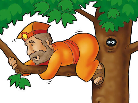 But one man in the crowd could not see Jesus! Look, it’s Zacchaeus! He was so short he had to climb up into a big tree just to get a peek at Jesus. – Slide 3