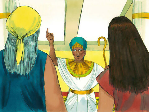 Exodus 1 v 16 Pharaoh summoned them and ordered that if a Hebrew woman gave birth to a baby boy they must kill it. Only if the baby was a girl could they let it live. – Slide 9