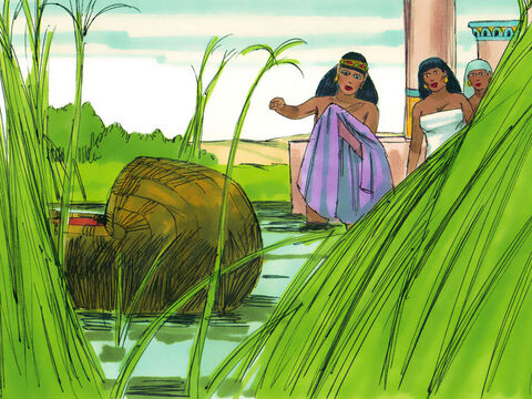 Exodus 1 v 5 Unexpectedly Pharaoh’s daughter came down to the river to bathe. She spotted the basket and sent one of her attendants to fetch it. – Slide 18