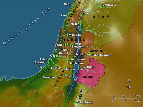 The area shaded in pink is Moab. A flat and arid plain extends east from the banks of the Dead Sea before ascending sharply some 4,000 feet, to the plain above. The upper plain is a more fertile stretch of land that extends about 15 miles from the escarpment east to the Arabian Desert. Dibon, the capital city of Moab in the biblical era, is located in the northern region of the upper plain. – Slide 6
