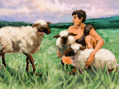 Now Abel was a keeper of sheep. – Slide 2