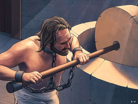They Philistines tore out Samson’s eyes and took him down to Gaza. They put him in prison, bound him with bronze chains and made him grind grain. But his hair began to grow again. – Slide 4