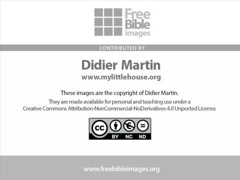 Slide 20