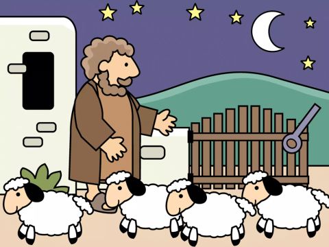 Every evening he would count to make sure that all the sheep had come back from the pasture. – Slide 2