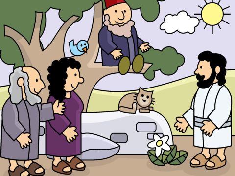 As Jesus walked with His disciples, many people crowded around to see Him. Zacchaeus had the best view of all because he was up in a tree! – Slide 4