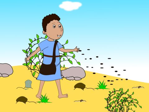 Jesus said, ‘A farmer went out to sow seed to grow wheat.’ – Slide 3