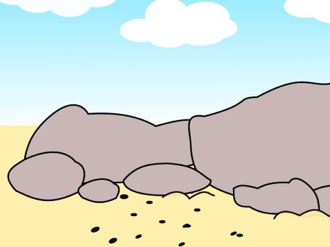 ‘Some fell on rocky ground.’ – Slide 5