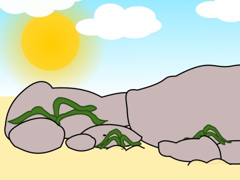‘But when the wheat shoots came up, the plants withered under the burning sun because they had no moisture.’ – Slide 6