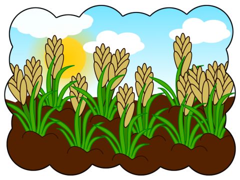 ‘However, the seed that falls among good soils are like those with a noble and good heart, who hear the word, retain it, and by persevering produce a crop.’ – Slide 15