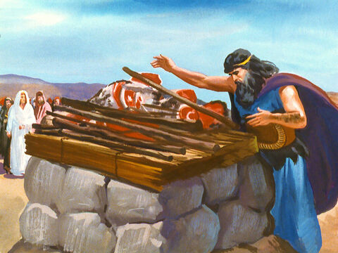 He put the wood in place and laid the sacrifice on the altar. – Slide 34