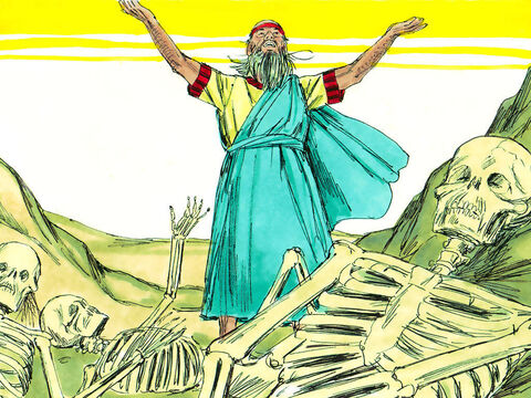 Ezekiel spoke as God had commanded. There was a sudden rattling as the bones came together, bone by bone, to form skeletons. – Slide 5