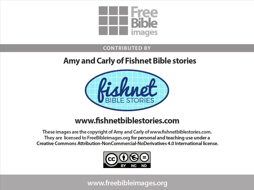 pdfcoffee.com_dynamic-bible-the-companion-pdf-free : Free Download, Borrow,  and Streaming : Internet Archive