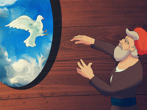 Later, Noah released the dove and it flew out of his hand.  <br/>But the dove came back to Noah because it couldn’t find a place to land. – Slide 3