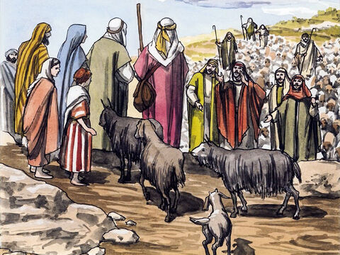 … and all who heard it were astonished at what the shepherds said. – Slide 11