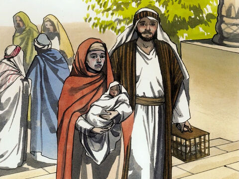 Now when the time came for their purification, according to the law of Moses, Joseph and Mary brought Jesus up to Jerusalem to present Him to the Lord (just as it is written in the law of the Lord, ‘Every firstborn male will be set apart to the Lord’) … – Slide 1