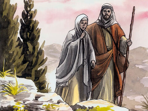 … they returned to Jerusalem to look for Him. – Slide 6