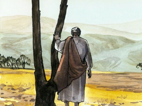 Yet Jesus himself frequently withdrew to the wilderness and prayed. – Slide 7