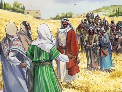 Jesus was going through the grain fields on a Sabbath… – Slide 1