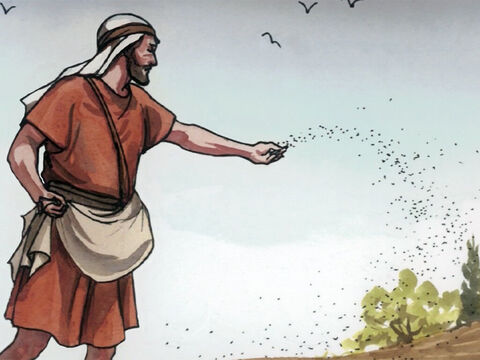 ‘And as he sowed, some seeds fell along the path … – Slide 4