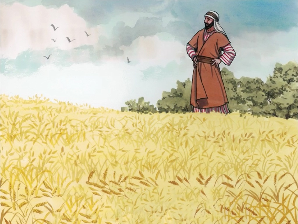 parable of the sower clipart