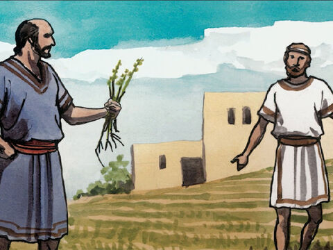 ‘So the slaves of the owner came and said to him, ‘Sir, didn’t you sow good seed in your field? Then where did the weeds come from?’ – Slide 5