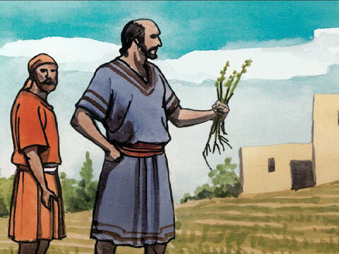 And His disciples came to Him saying, ‘Explain to us the parable of the weeds in the field.’ – Slide 16