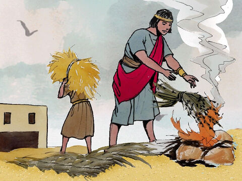 ‘As the weeds are collected and burned with fire, so it will be at the end of the age. – Slide 19