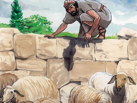Jesus said, ’I tell you the solemn truth, the one who does not enter the sheepfold by the door, but climbs in some other way, is a thief and a robber. – Slide 1