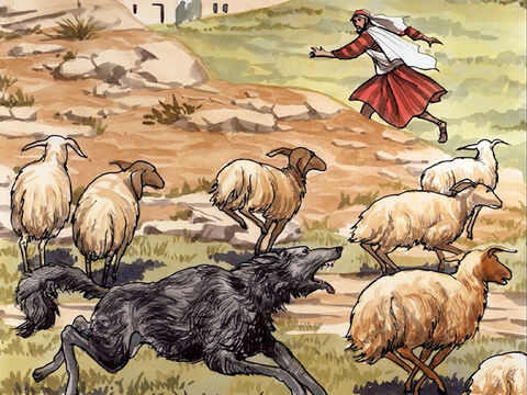 ‘The hired hand, who is not a shepherd and does not own sheep, sees the wolf coming and abandons the sheep and runs away. – Slide 10