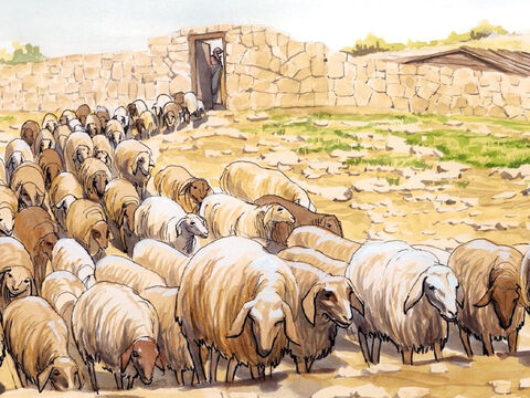 ‘I have other sheep that do not come from this sheepfold.  I must bring them too, and they will listen to my voice, so that there will be one flock and one shepherd. – Slide 13