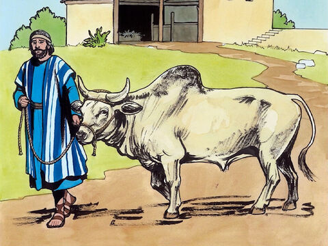 Then the Lord answered him, ‘You hypocrites! Does not each of you on the Sabbath untie his ox or his donkey from its stall, and lead it to water?’ – Slide 6