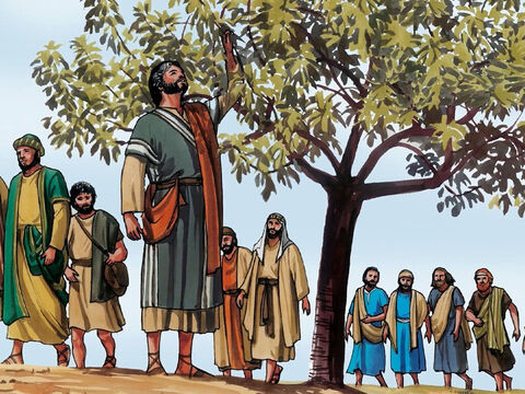 When He came to it he found nothing but leaves, for it was not the season for figs. He said to it, ‘May no one ever eat fruit from you again.’ And his disciples heard it. – Slide 2