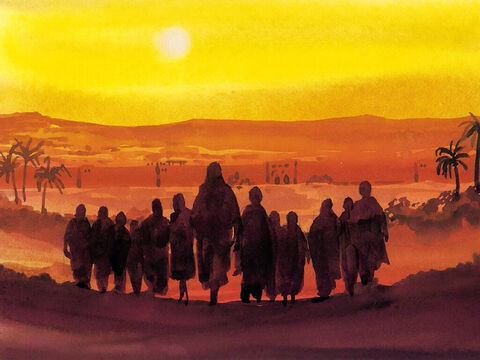 When evening came, Jesus and his disciples went out of the city. – Slide 7