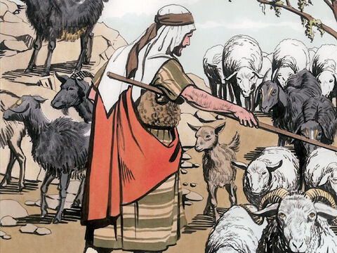 … and He will separate people one from another like a shepherd separates the sheep from the goats. He will put the sheep on his right and the goats on His left. – Slide 3