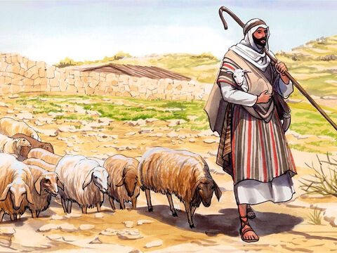 Jesus  told him, ‘Shepherd my sheep.’ – Slide 14