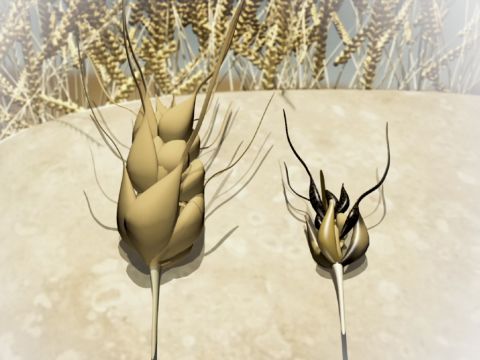 There were seven heads of grain growing on one stalk, healthy and good. Then, seven heads of grain, thin and burned by the east wind, sprouted up after them. The thin heads swallowed up the seven healthy heads. – Slide 5