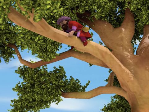 … he ran on ahead, climbed up a sycamore tree to see Him. – Slide 6